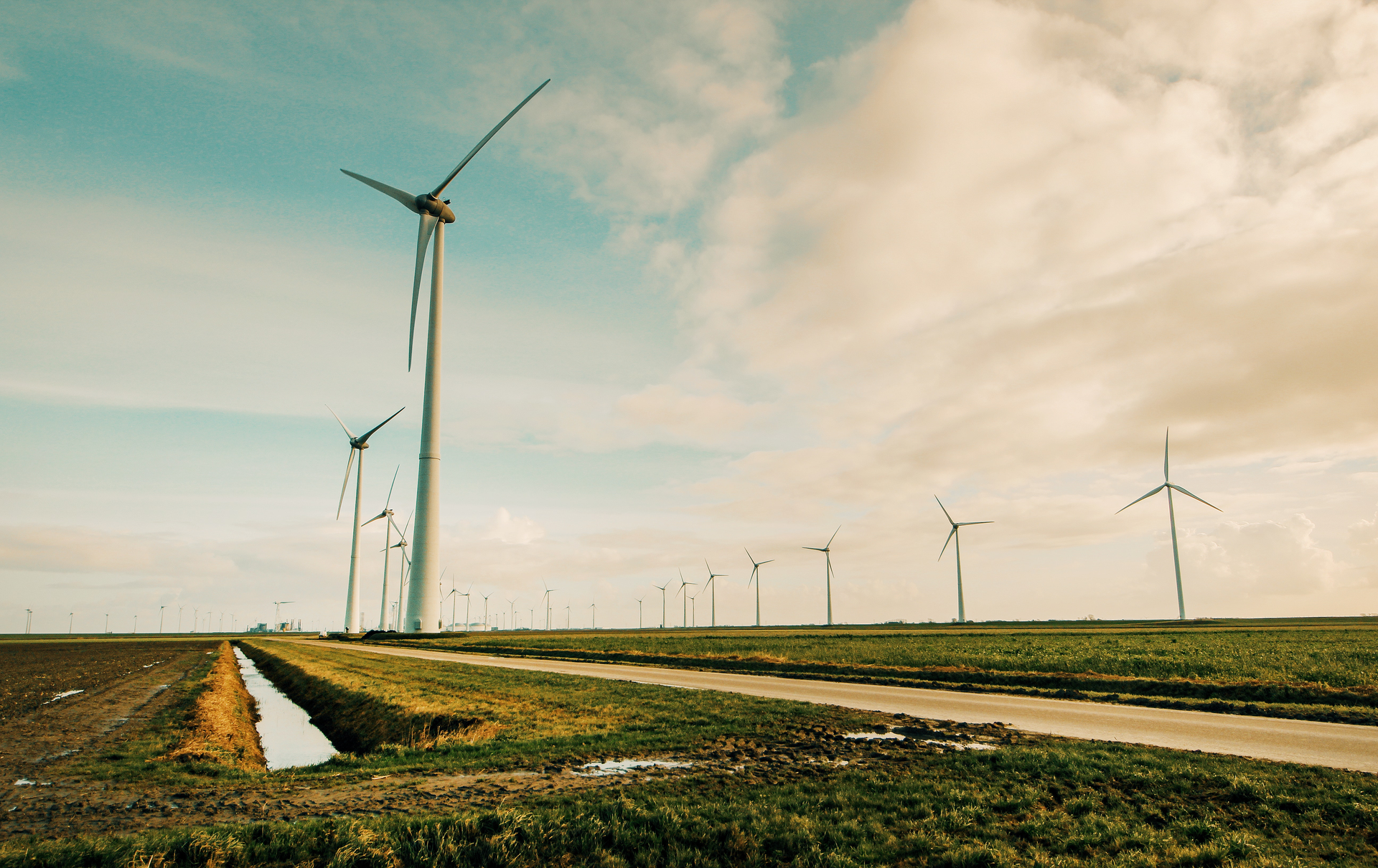 Alternative Alternative Energy Blades 695342