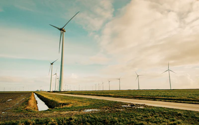 Alternative Alternative Energy Blades 695342