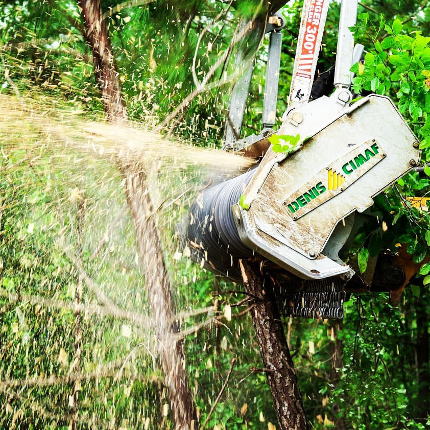 Denis Cimaf Mulcher Head Action 1