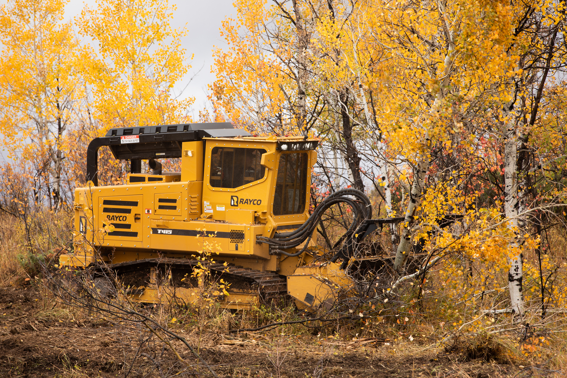 Rayco T415 Forestry Mulcher And Hydra Stumper Action