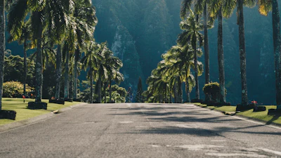 Guille Pozzi 433656 Unsplash