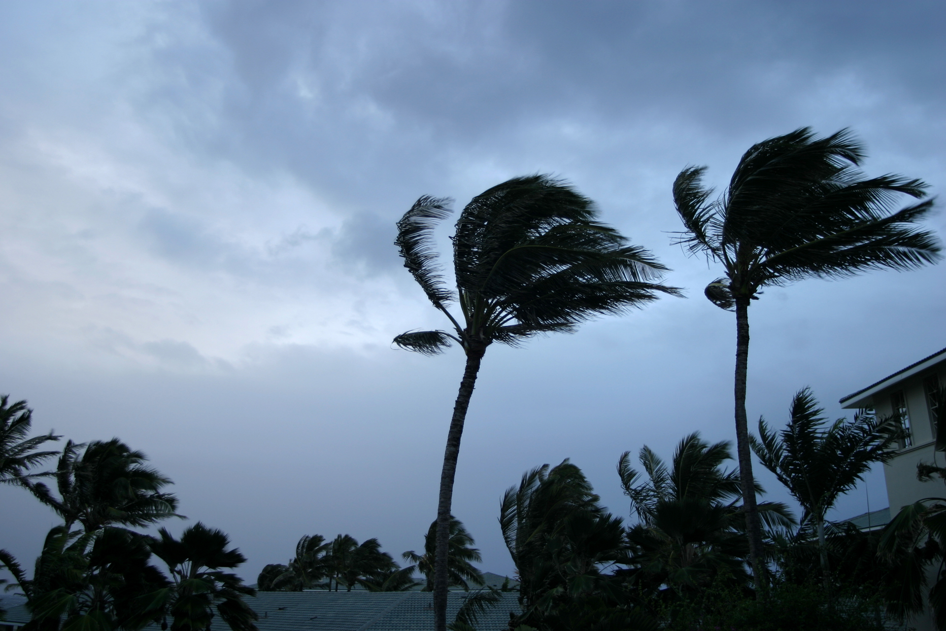It's better to be safe and prepared than sorry if a natural disaster does occur.