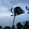 It's better to be safe and prepared than sorry if a natural disaster does occur.