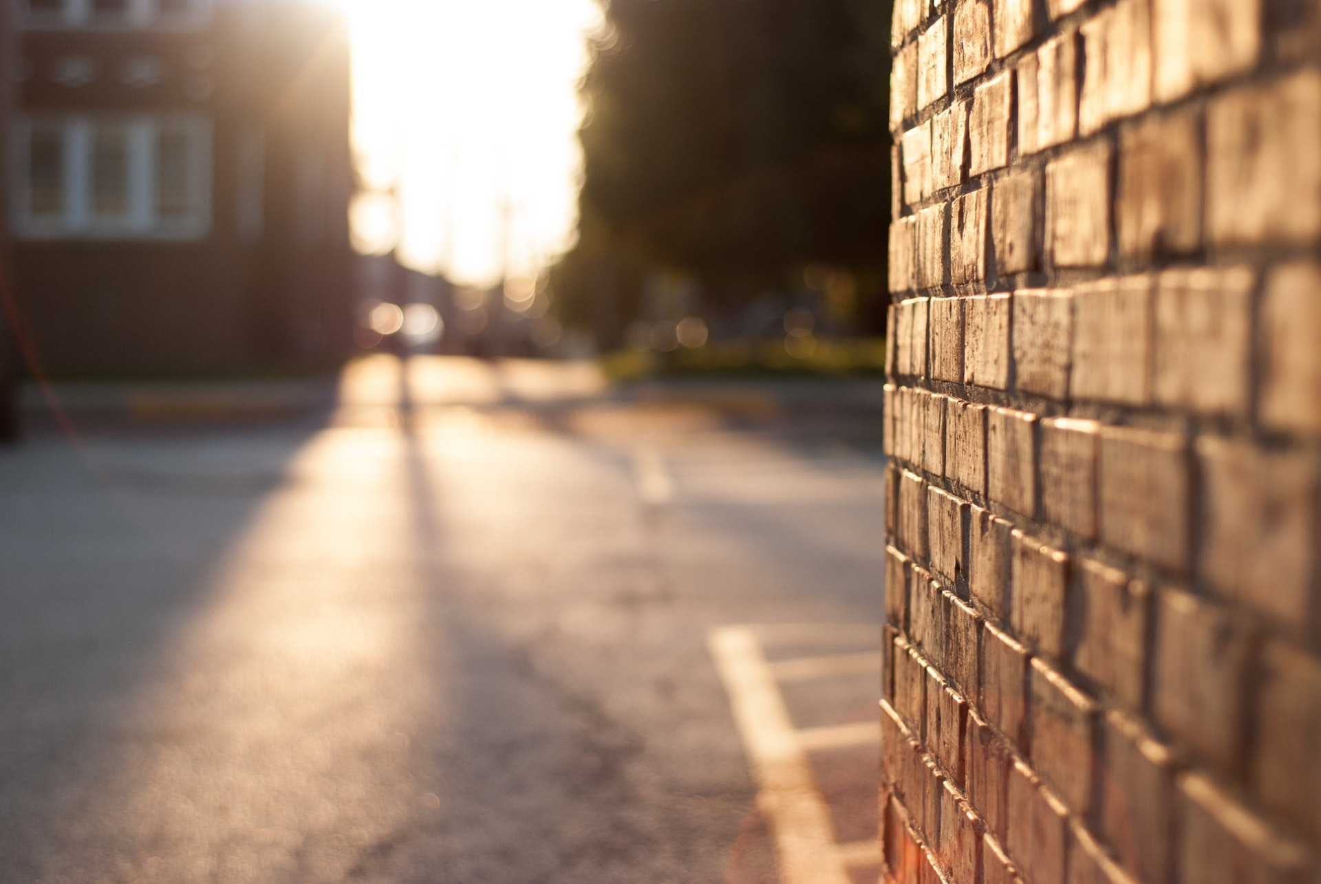 Asphalt Blur Bricks 858076