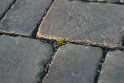 Imre Tomosvari Ldp Nx P Uo R 0 Unsplash