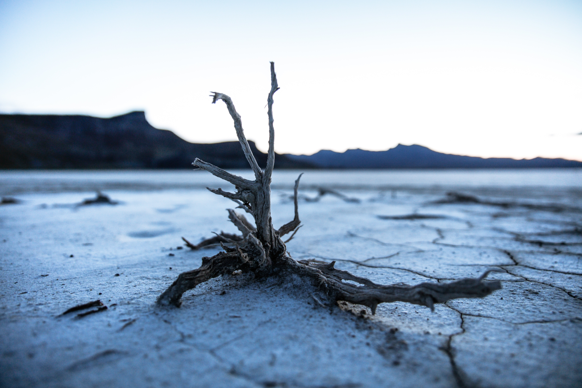 Patrick Hendry 39 Iz5xge4s E Unsplash