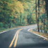 Asphalt Road Between Trees 1546901