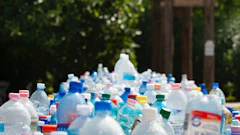Assorted Plastic Bottles 802221