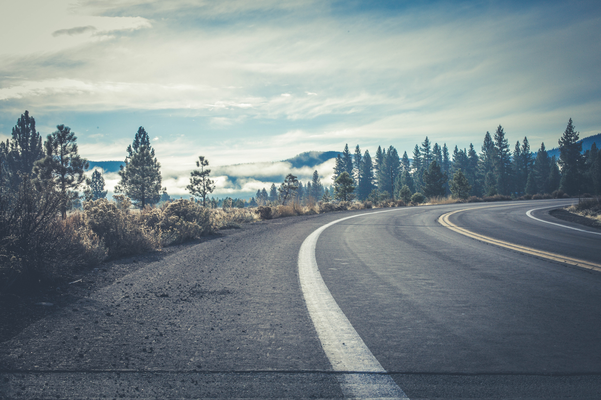 Gray Concrete Road Near Forest 756861
