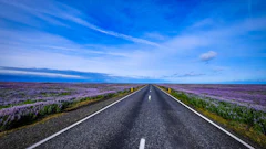 Asphalt Clouds Countryside Environment 464332