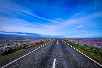 Asphalt Clouds Countryside Environment 464332