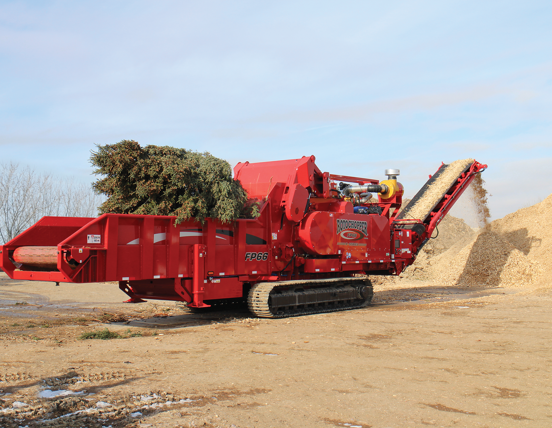 Fp66 B Grinding Pine Tree Alt