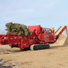 Fp66 B Grinding Pine Tree Alt