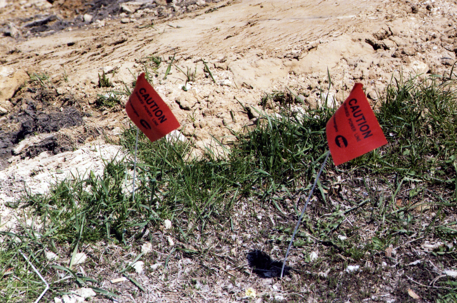 Caution Flags Electric Lines