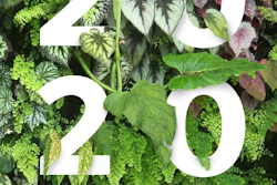 GCP 2020