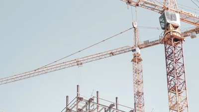 Osha Crane