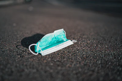 Claudio Schwarz Purzlbaum Zh Bt Vp Bcdw Unsplash