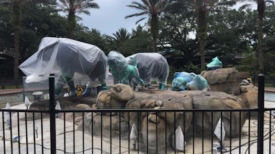 Audobon Zoo