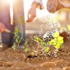Garden Club Class 1703108 (1)
