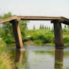 The Huangqing Bridge