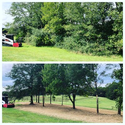 The Bobcat T770 compact track loader steers around desirable “keeper trees” and quickly navigates the landscape, while the Fecon Bull Hog attachment easily chews through material, leaving behind a finely processed end product.