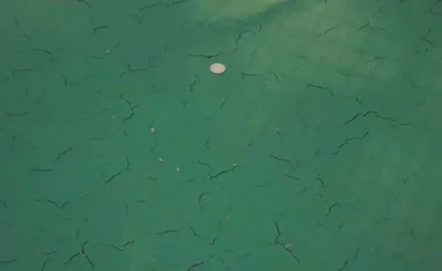 Low density can cause these types of hairline cracks to the mat. If it isn't fixed, these cracks will show through the surface coating causing court failure.