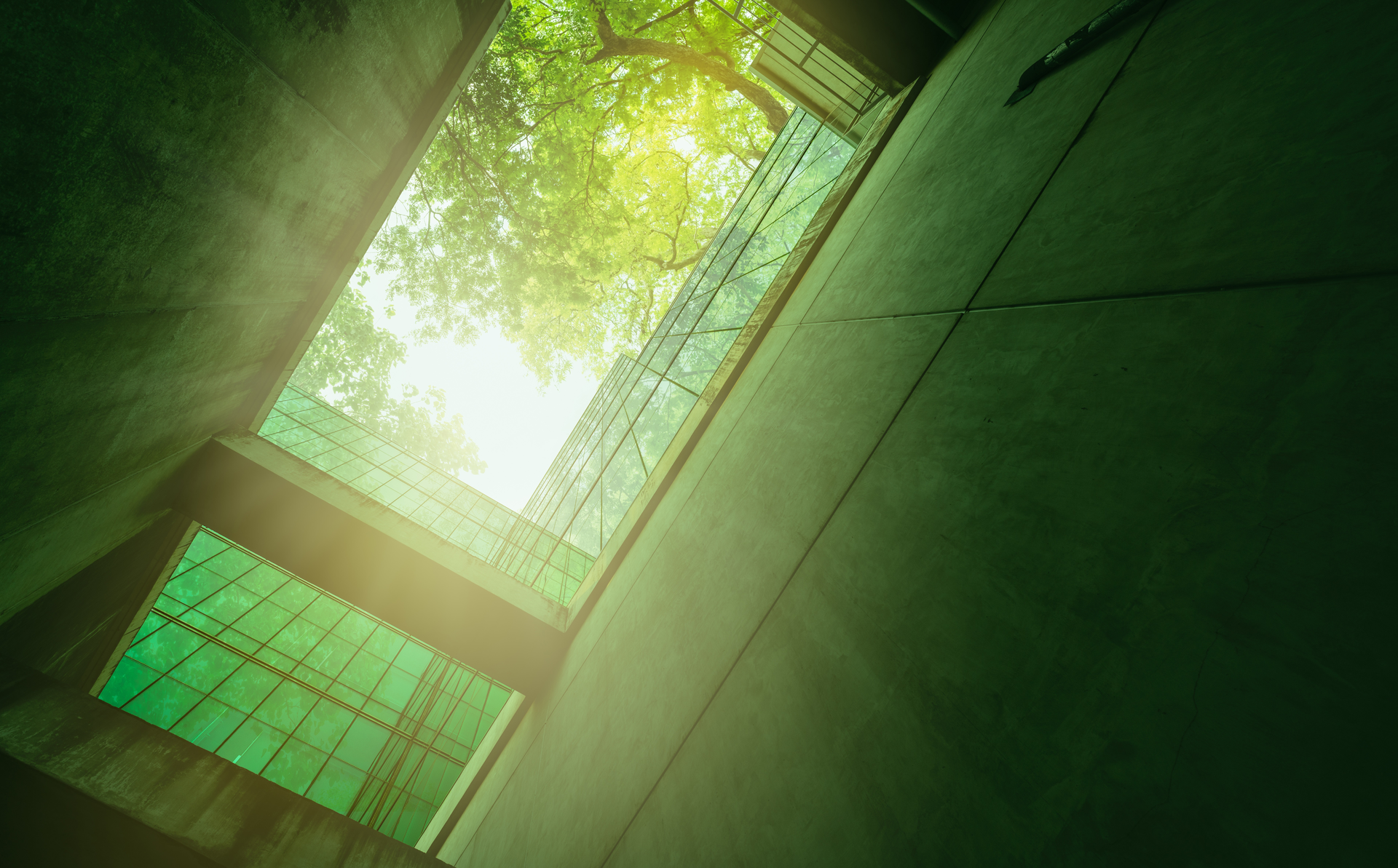 As daunting as the climate crisis is, it is not the only environmental challenge facing the construction industry that needs to be addressed.