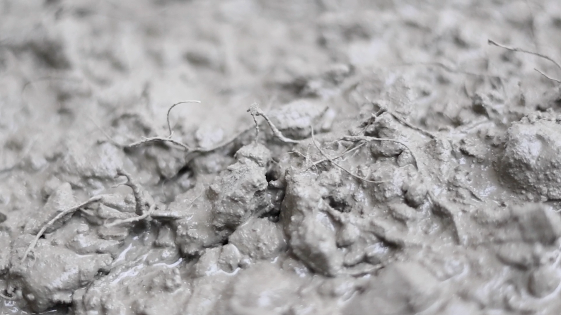Synthetic Macrofibers in Concrete Construction