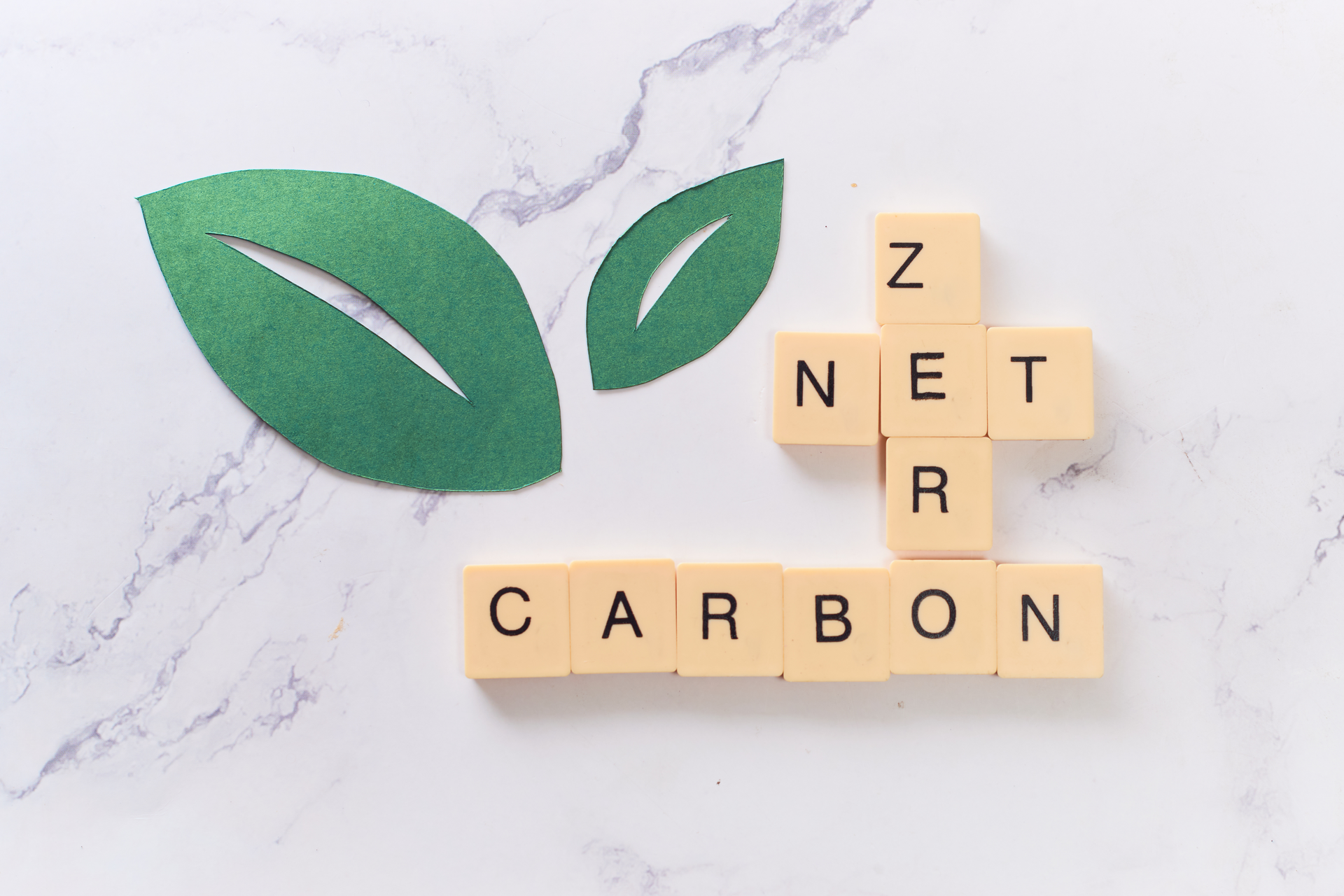 The Language of Embodied Carbon