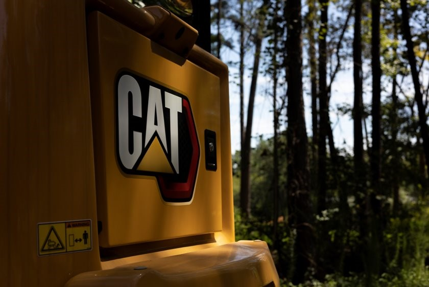 Cat Image