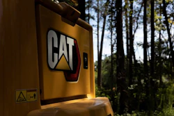 Cat Image