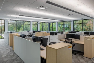 The building allows natural light to flood the interior year-round.