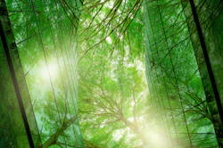 Local jurisdictions are also increasingly launching initiatives to implement low-embodied carbon construction programs.