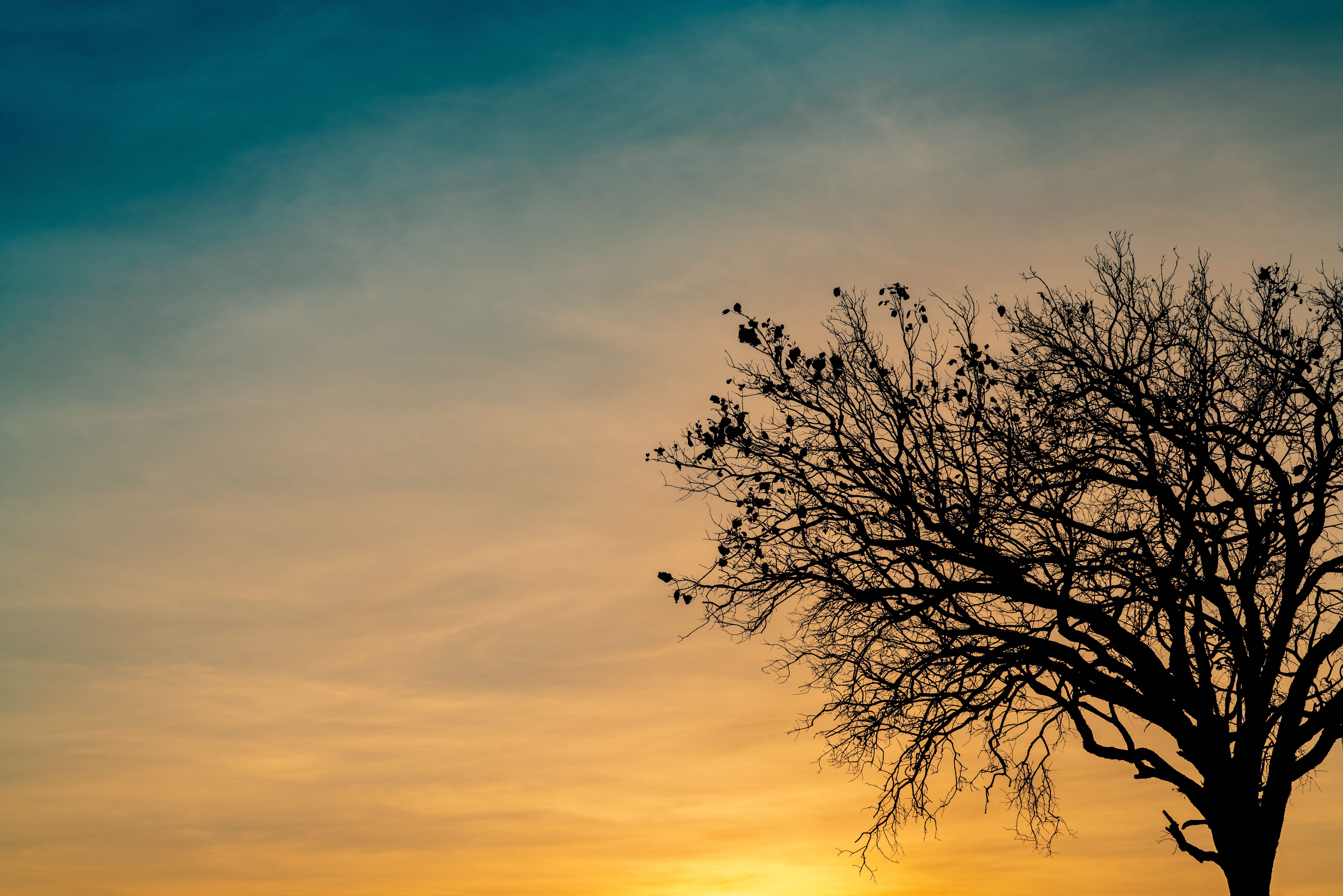 Bereavement Grief Support in the Aftermath of an Overdose Loss
