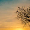 Bereavement Grief Support in the Aftermath of an Overdose Loss