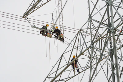 virtually all electric utilities are engaged in extensive construction projects to expand the grid, lest they either run out of power or hike rates to untenable reaches.