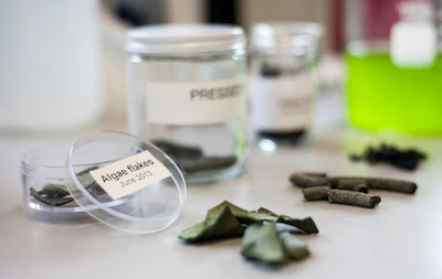 Dried algae flakes.