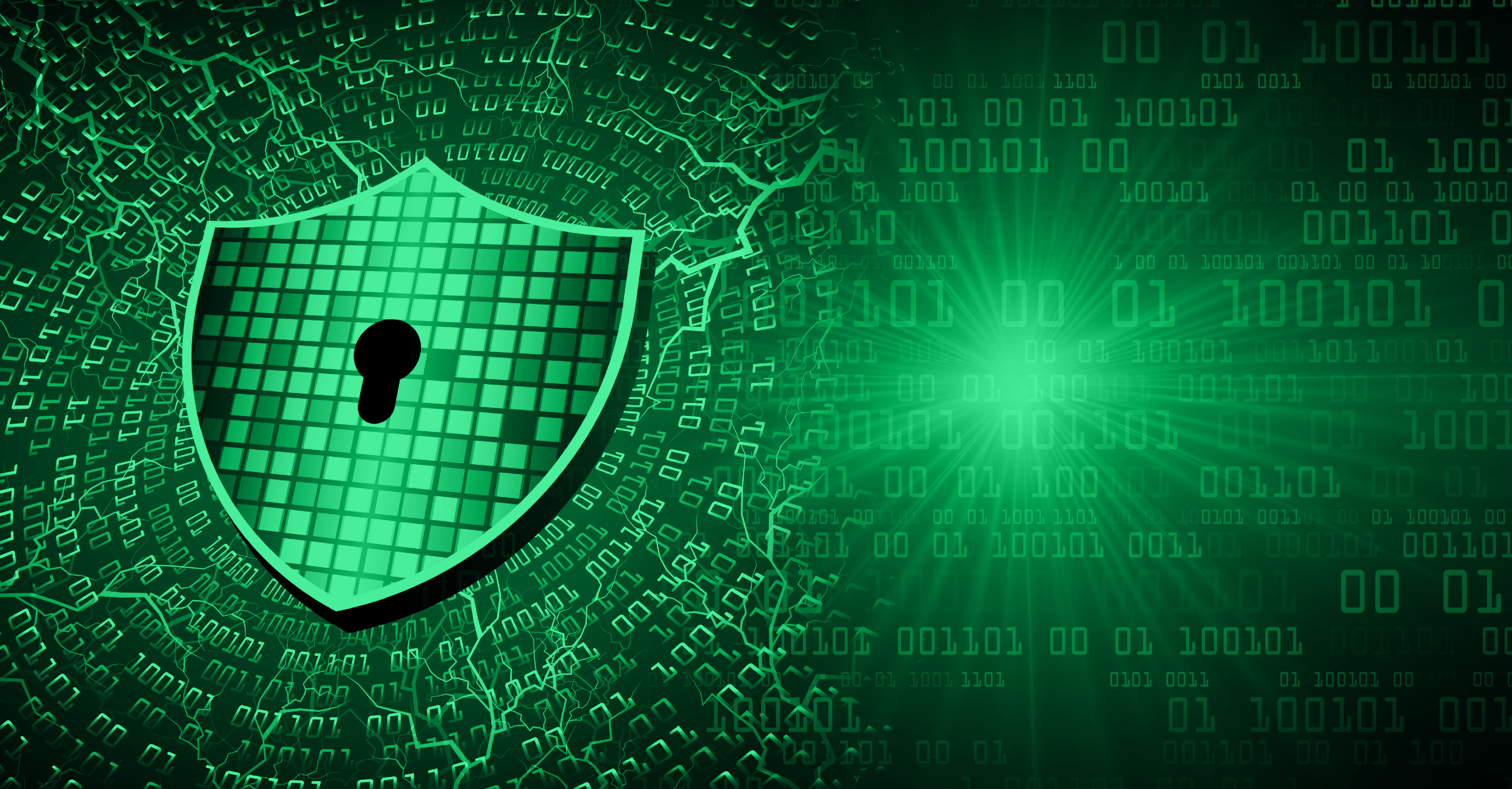 In this digitized era, the biggest disruption to your business is having your information destroyed or being unable to access your information when you need it.