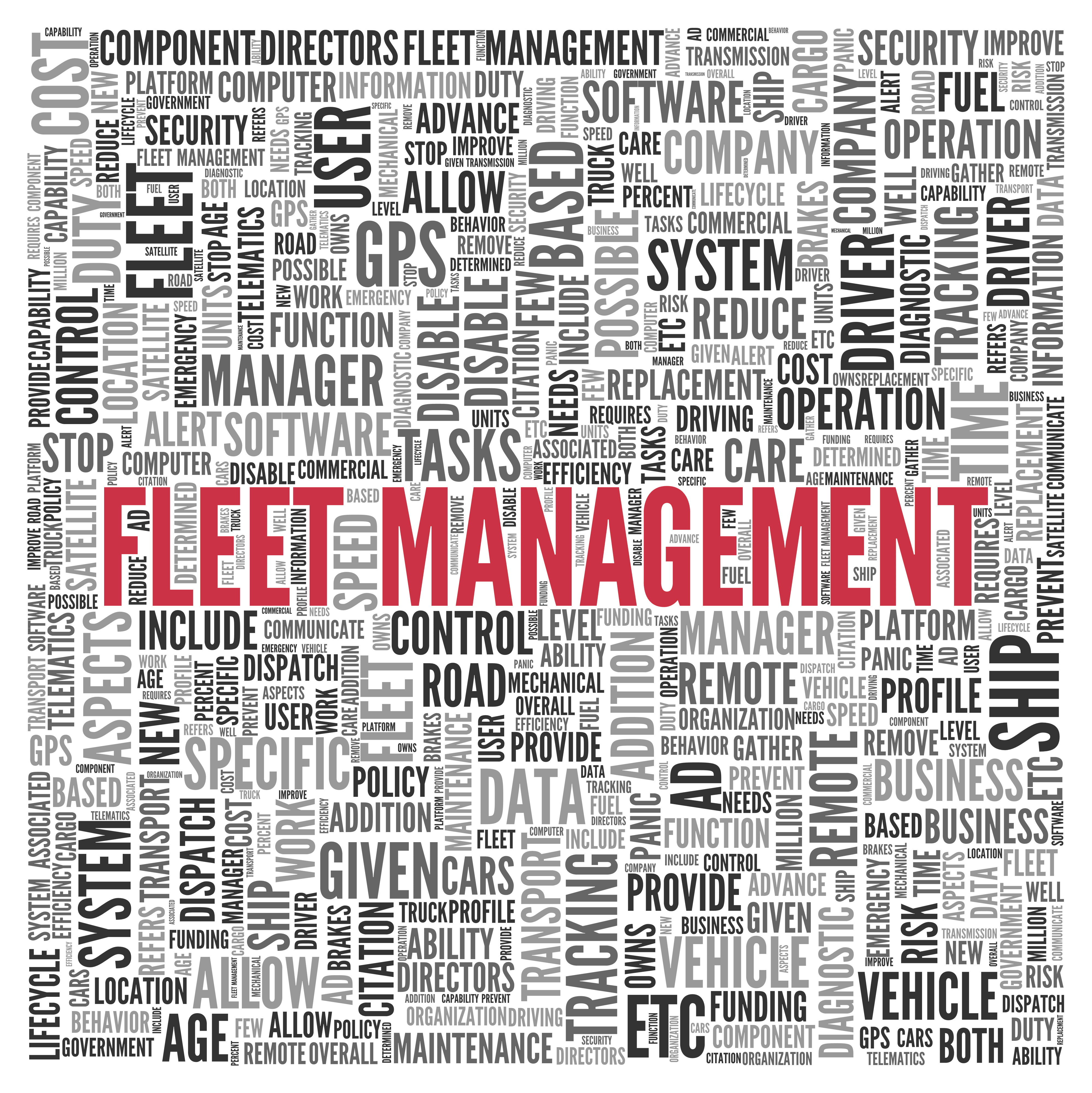 Word cloud visualization highlighting fleet management strategies and technological concepts