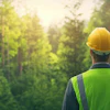 Forest worker in safety gear surveys sustainable woodland landscape
