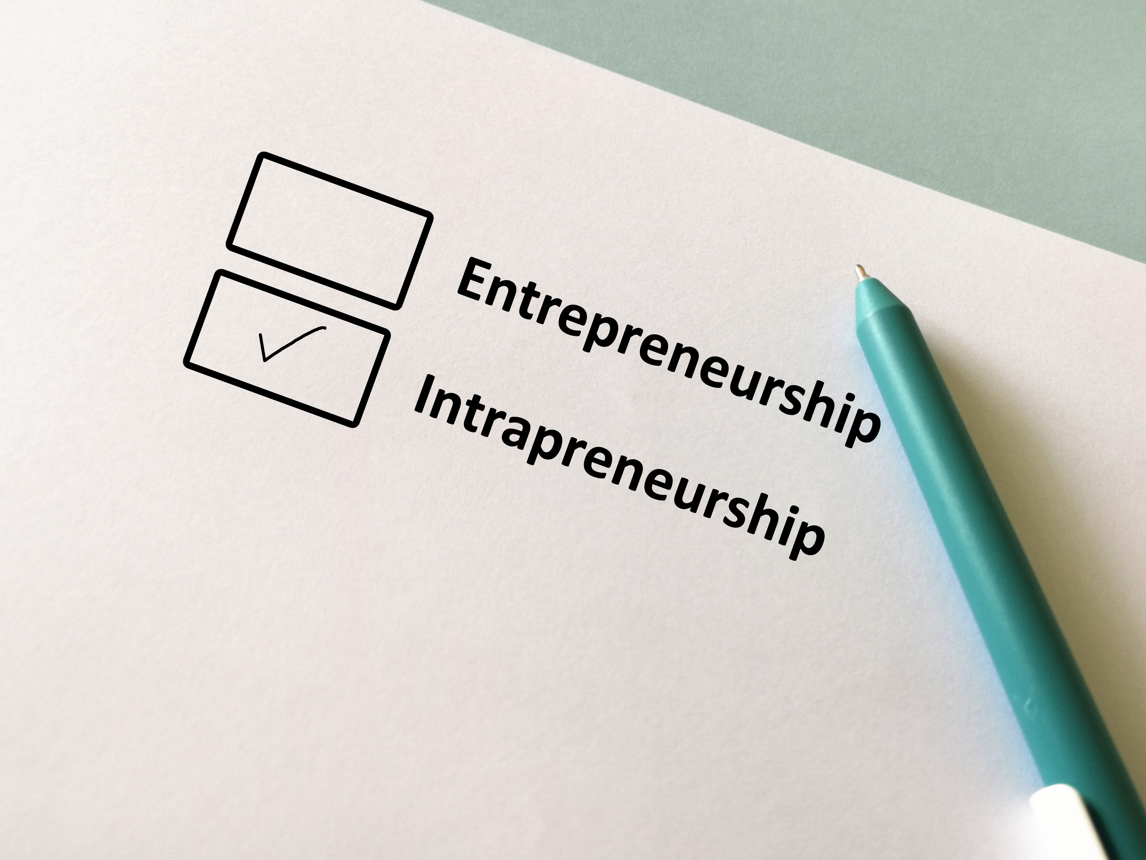 Checklist comparing entrepreneurship and intrapreneurship, with intrapreneurship selected