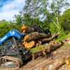 Blue tracked skid steer loader moving large fallen tree logs on rocky terrain with green forest background