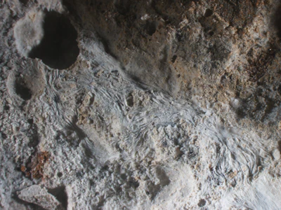 Textured rocky surface with intricate geological formations in gray and beige tones