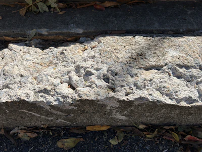 Cracked concrete surface with rough texture and fallen leaves