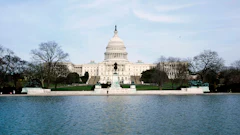 U.S. Capitol building in Washington D.C. with reflecting pool and winter trees